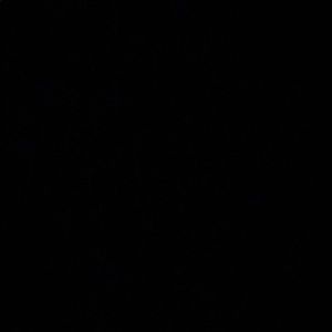 Meet your Posher, Clevis